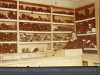File0052
