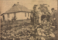 2025: Válságkezelés az „új szakasz” küszöbén. Dokumentumok a háztáji gazdálkodás kialakításáról a Rákosi-korszakban