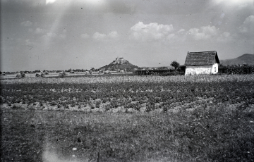 2024: „A zsidóbirtokok kifogástalan megművelése a totális háború szerves része”.  Zsidók földjeinek hasznosítása Kárpátalján (1944)