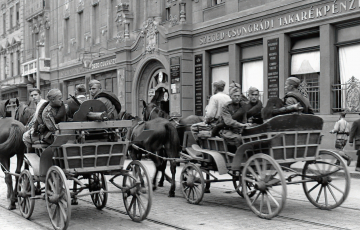 2024: Erőszakhullám az Alföldön – Az 1944. őszi magyarországi harcok atrocitásainak dokumentálása a tengelyhatalmi haderők részéről I. rész